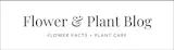 Flower & Plant Info