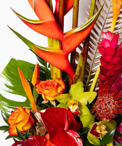 Kwanzaa Flowers & Gifts