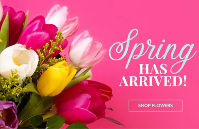 In Bloom Florist - Florists in Orlando