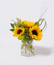 Pocketful of Sunshine