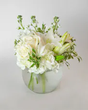 Crisp Ivory
