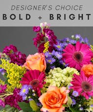 Designer's Choice - Bold + Bright