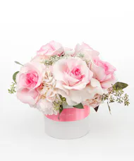 Blush of Hope