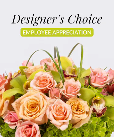 Designer's Choice - Employee Appreciation