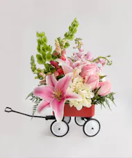 Baby's First Wagon Bouquet  •  Pink