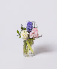 Sweet Hyacinth