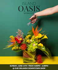 Island Oasis Orlando  - Design Workshop  - June 14th