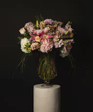 Blush Elegance