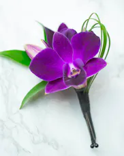 Paradise Orchid Boutonniere