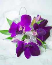 Paradise Orchid Corsage