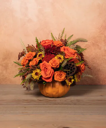 Pumpkin Perfection