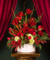Scarlet Luxe