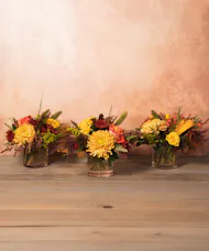 Seasonal Splendor Trio