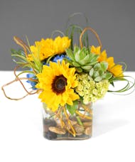 Sunflowers & Succulents