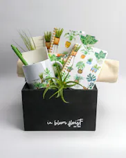 Greens for the Desk Queen