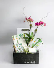 Leaf Your Worries Behind Plant Gift Set