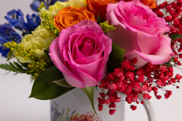 Elevate your indoor greenery game with these adorable plant arrangements, perfectly nestled within stylish ceramic mugs. 