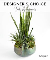 Designer's Choice Silk Botanicals