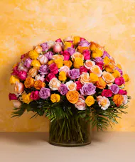100 Rose Collection