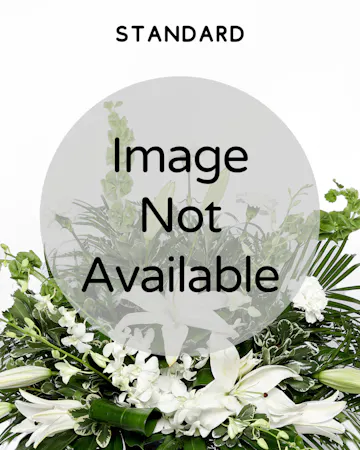 This arrangement offers sympathy ideal for the funeral service or home. The mix of lush greenery and delicate white blooms will bring peaceful wishes to the family.
