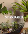 Save 20% and enjoy the convenience of pre-scheduled plant deliveries with a plant subscription and free delivery!