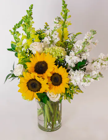 locally-grown sunflowers are paired with beautiful yellow and ivory blooms including snapdragons, stock, roses, mini green hydrangea in a tall cylinder glass vase