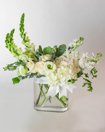 beautiful ivory floral including hydrangea, snapdragons, roses, lisianthus and more, designed in a contemporary thin glass vase and tied with a satin ivory bow