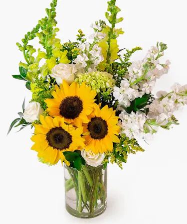locally-grown sunflowers are paired with beautiful yellow and ivory blooms including snapdragons, stock, roses, mini green hydrangea in a tall cylinder glass vase