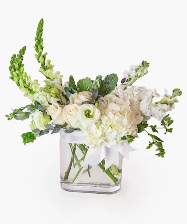 beautiful ivory floral including hydrangea, snapdragons, roses, lisianthus and more, designed in a contemporary thin glass vase and tied with a satin ivory bow