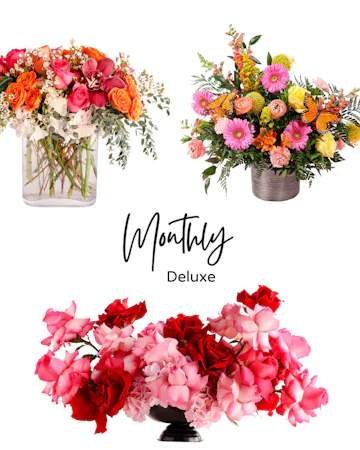 Save 20% and enjoy the convenience of pre-scheduled flower deliveries with a floral subscription and free delivery!
