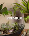 Save 20% and enjoy the convenience of pre-scheduled plant deliveries with a plant subscription and free delivery!