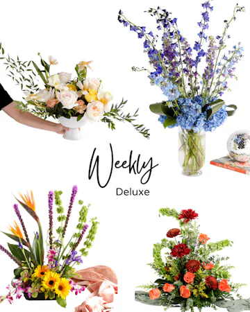 Save 20% and enjoy the convenience of pre-scheduled flower deliveries with a floral subscription and free delivery!