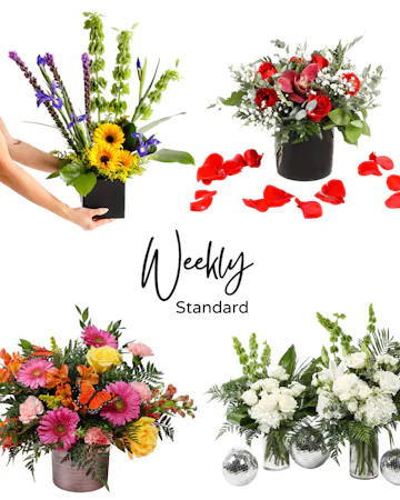 Save 20% and enjoy the convenience of pre-scheduled flower deliveries with a floral subscription and free delivery!