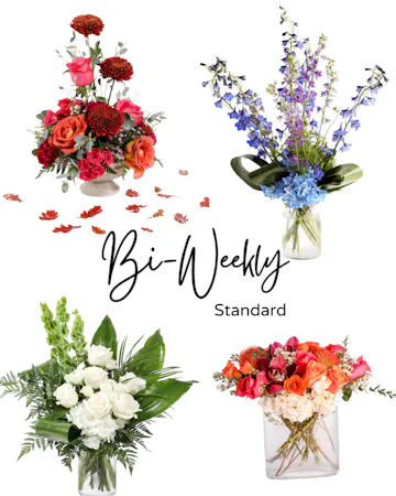 Save 20% and enjoy the convenience of pre-scheduled flower deliveries with a floral subscription and free delivery!