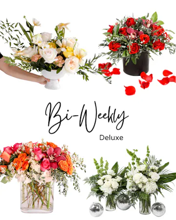 Save 20% and enjoy the convenience of pre-scheduled flower deliveries with a floral subscription and free delivery!