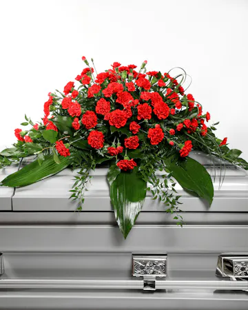 This classic half-couch spray of brilliant red carnations makes a striking and dignified statement during the final farewell service.