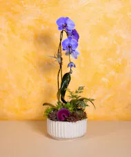 Botanical Beauty - Deluxe