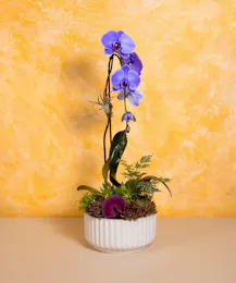 Botanical Beauty - Deluxe