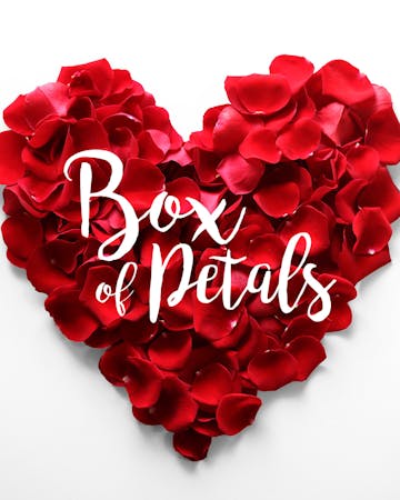 Rose Petal Delivery Orlando Florida Or Nationwide Rose Petels By In Bloom Florist