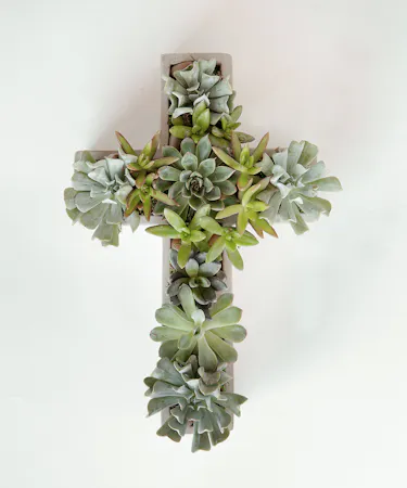 Sympathy Succulents | In Bloom Florist | Orlando, FL | Same-Day Delivery