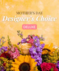 Designer's Choice - Deluxe