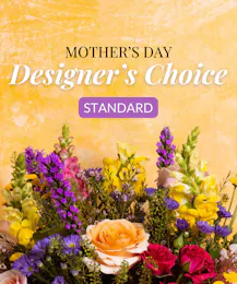 Designer's Choice - Standard
