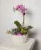 Lavender & Jewels features a rich palette of purple blooms, exuding grace and beauty, presented in a chic purple vase.