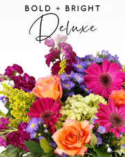 Designer's Choice - Bold + Bright