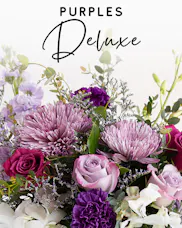 Designer's Choice - Purples