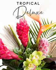 Designer's Choice - Tropical Arrangement