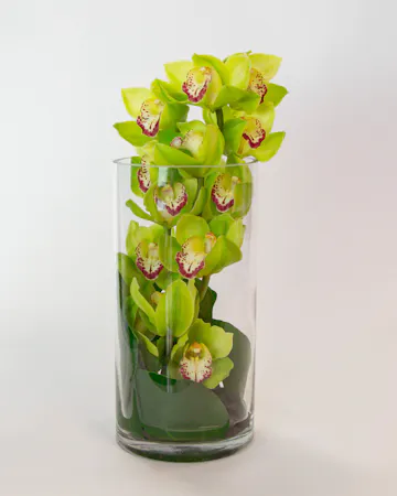We carefully place an elegant cymbidium orchid stem with a monstera leaf on a bed of river rocks to create this serene arrangement. 