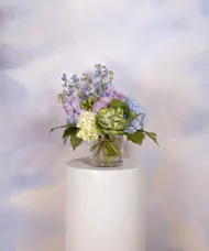 English Elegance - Standard
