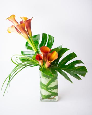 Tropical Flower Arrangement In Bloom Florist Orlando Fl