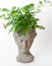 Lady in Ferns
